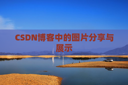 CSDN博客中的图片分享与展示